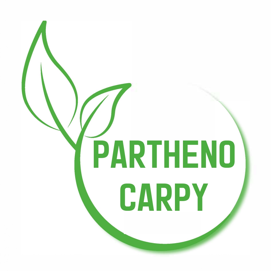 Parthenocarpy